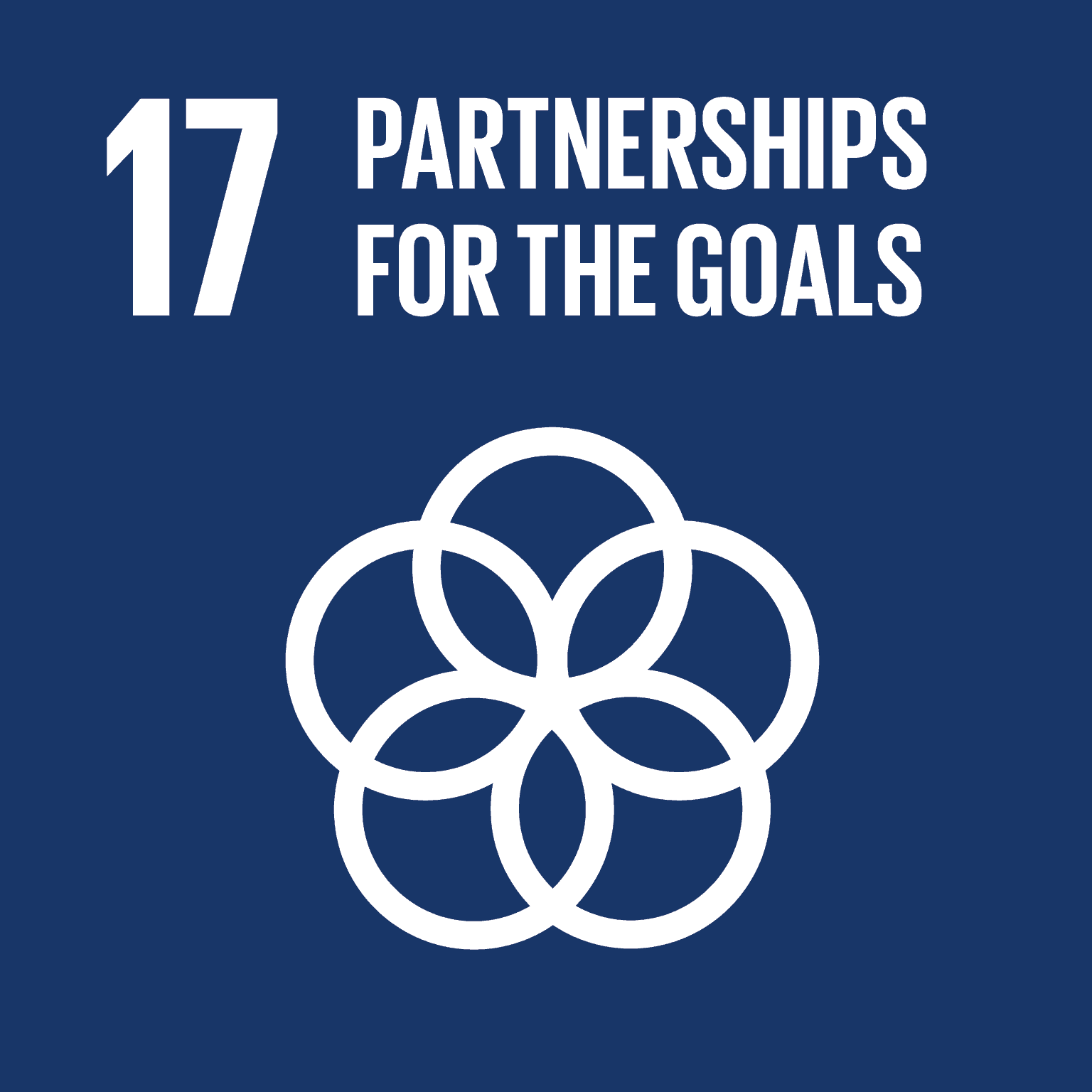 UN SDG Goal 17 - Partnerships for the Goals